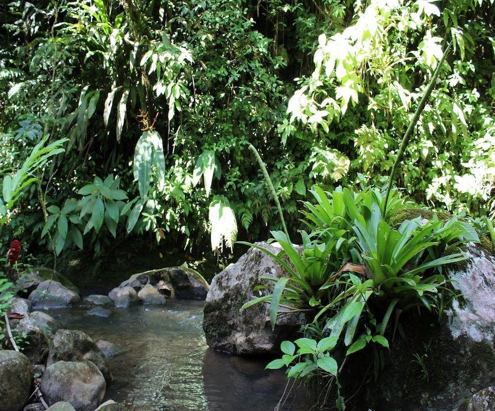 Agua Inn Nuevo Arenal Bagian luar foto