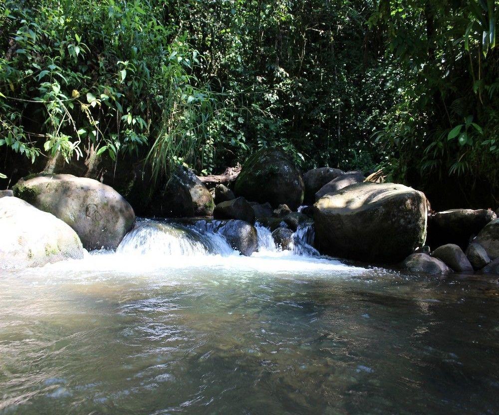 Agua Inn Nuevo Arenal Bagian luar foto