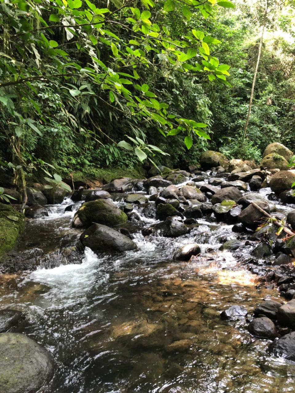 Agua Inn Nuevo Arenal Bagian luar foto